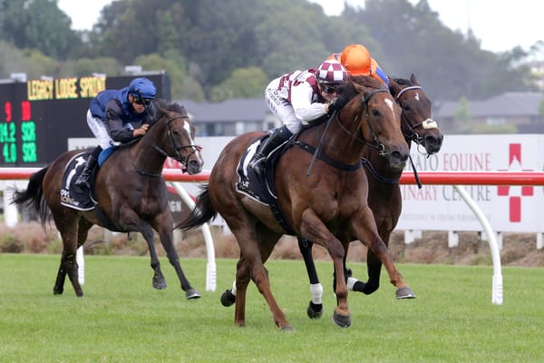 Foote looking to cap successful week with Pukekohe win