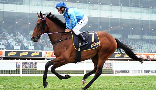 $500 mare begins Basilinna story