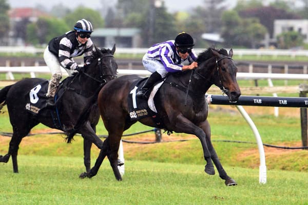 Bedtime Story becoming a dream