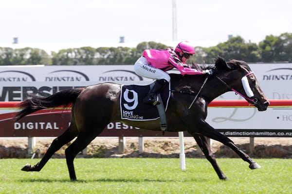 Complicate aiming for Remutaka Classic berth
