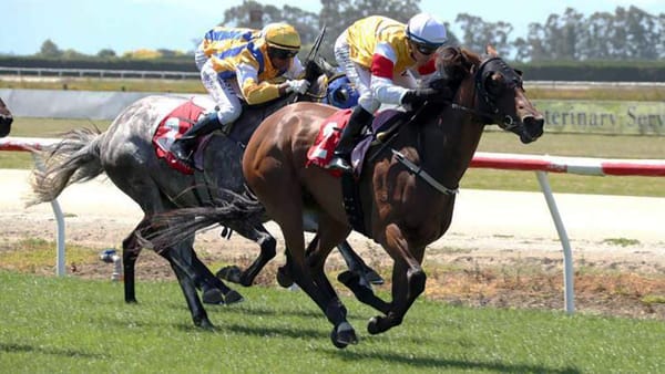 Dobbs duo ready for Cromwell meeting