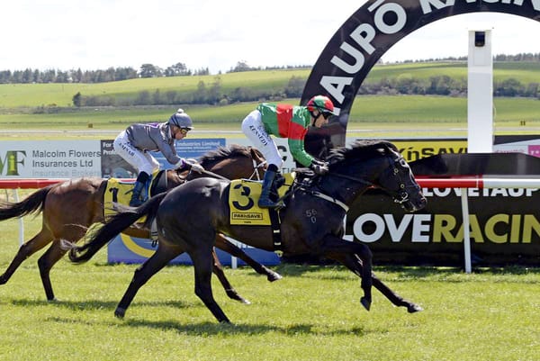 Wexford team out in force at Taupo