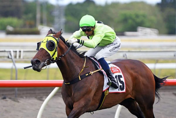 Gwen’s Daughter prevails in opening Stella Artois qualifier