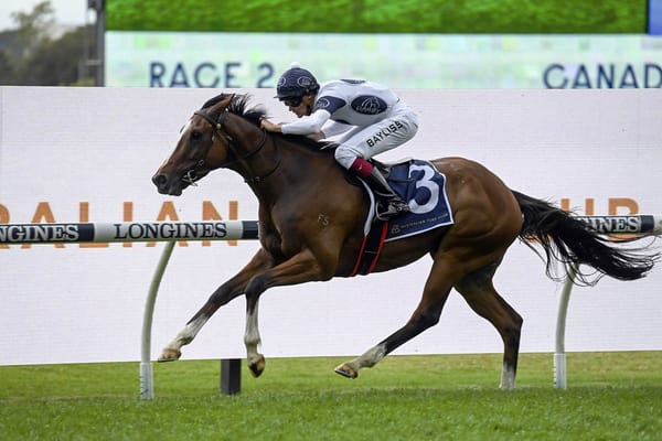 Progressive Kiwi gelding scores on Sydney debut