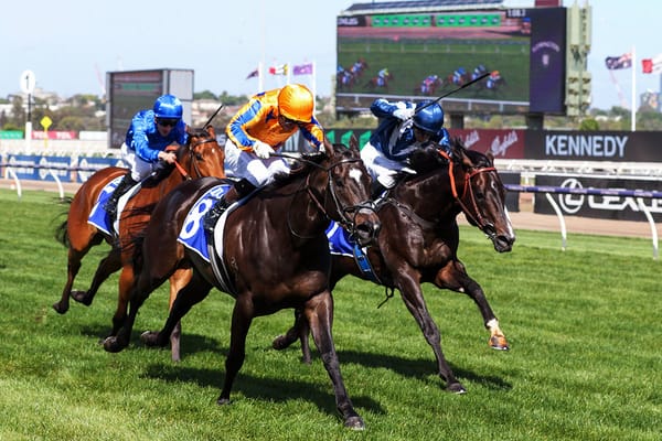 Imperatriz completes perfect prep with Champions Sprint triumph