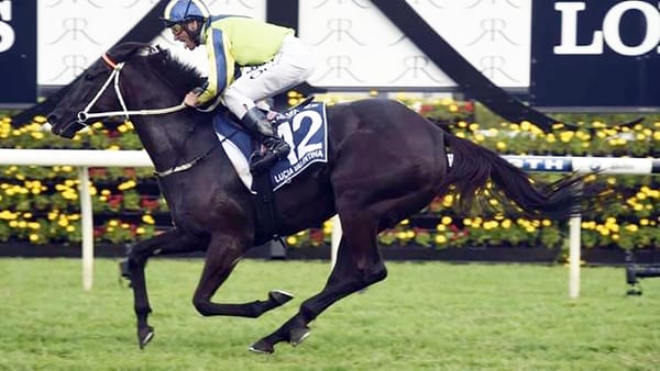 Change of plan lands Petagna Cup contender