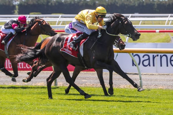 Kana gets classy win at Riccarton