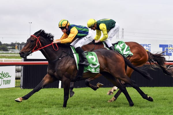 King Of The Castle delivers at Kembla