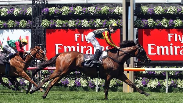 Wellfield Lodge on the market