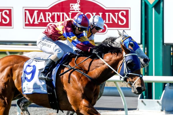 Lord Donovan wins three races in Cup week