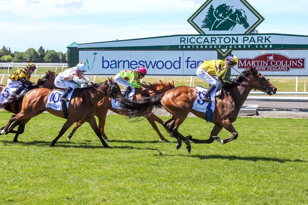 Molly Bloom heads Wexford's Boxing Day runners