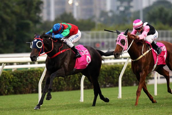 Money Catcher faces weighty G3 Sa Sa Ladies’ Purse challenge