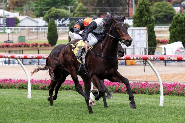 Mr Charismatic provides Valley redemption