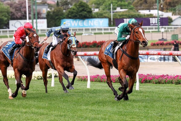 Mr Mojo Risin’ too good at The Valley