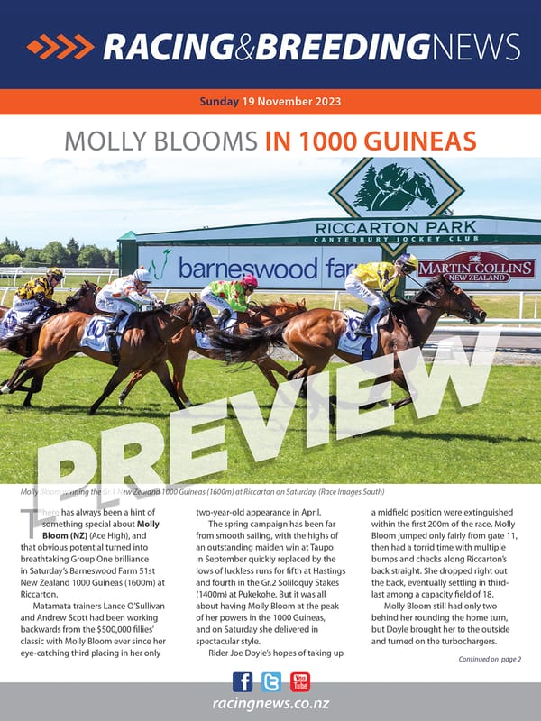 NZ Racing and Breeding News – 19 November 2023