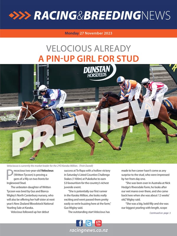NZ Racing and Breeding News – 27 November 2023