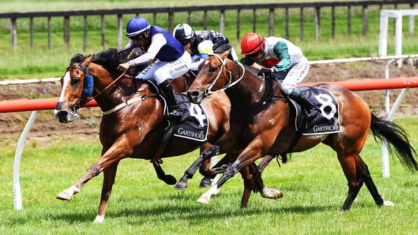 Sprinter stars at Tauranga