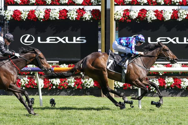 Trelawney's Group race results best advertisment ahead of Karaka 2024