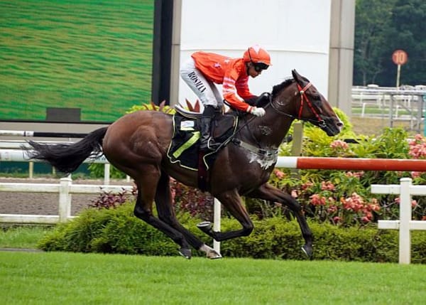 Sacred Buddy scores strong win on debut