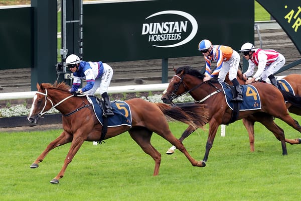 Velocious already a pin-up girl for stud