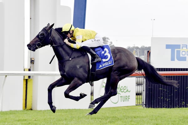 All-the-way win for With Your Blessing