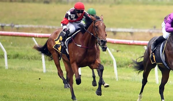 Long-term goal coming to fruition for Zambezi Khan