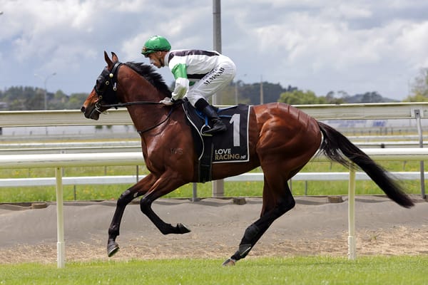 Cannon Hill stepping up to group level