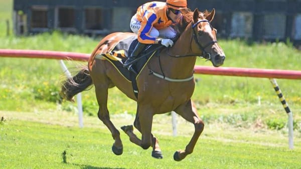 Te Akau juveniles up for black-type test