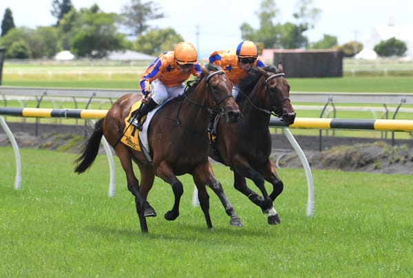 Damask Rose posts debut win