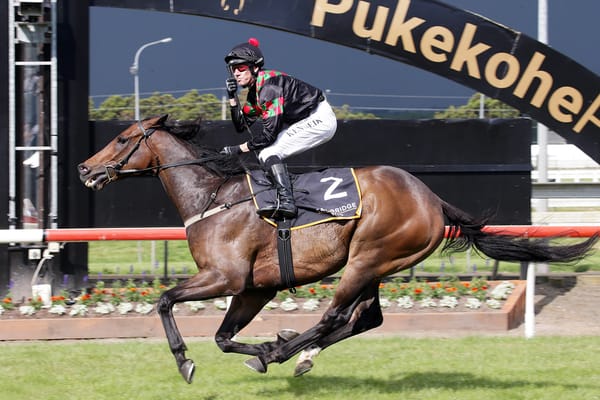 Defibrillate looking to overcome hefty weight in Wanganui Cup