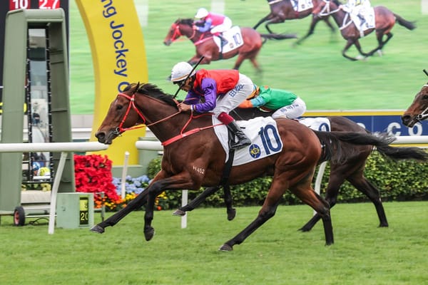Kiwi bred success in Hong Kong