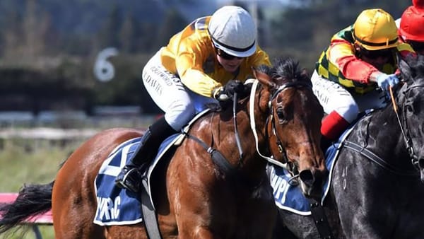 Fashion Icon on song for Trentham