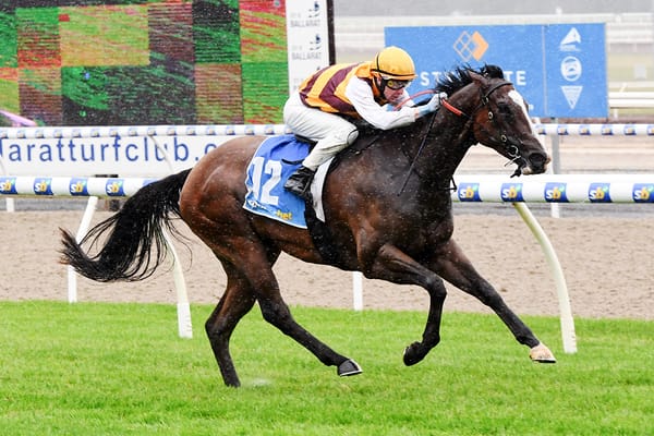 Give Giggles remains unbeaten on home track