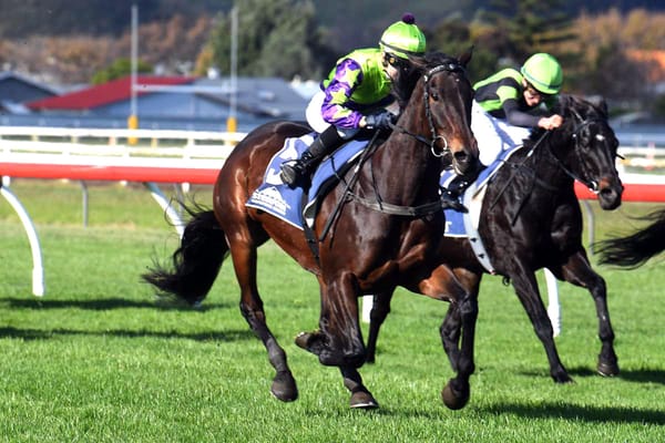 Hi Yo Sass Bomb seeking home track win