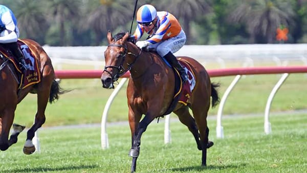 Te Akau team primed for Eulogy