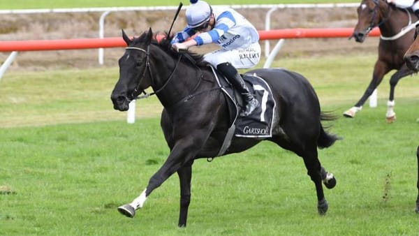 Cole opts for Hastings option with smart mare