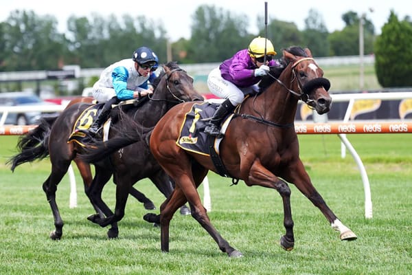 Is It Me cruises to Caulfield success