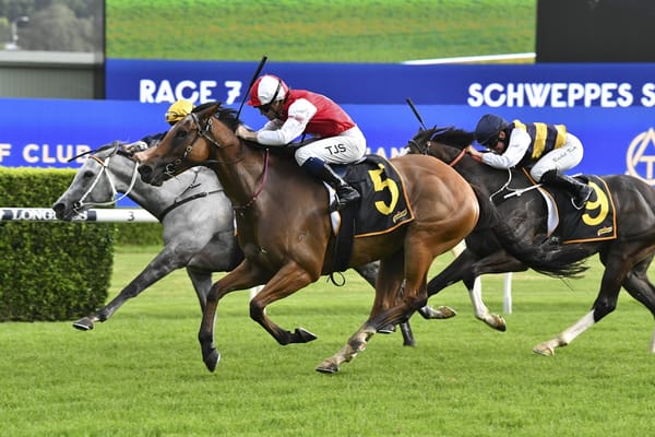 Lion’s Roar caps Contributer’s big day in Summer Cup