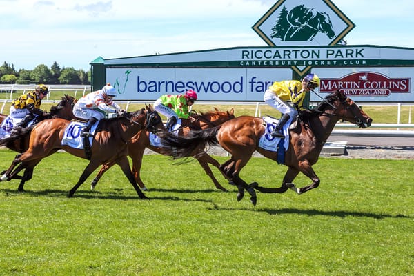 Shinn snares prime ride on Molly Bloom