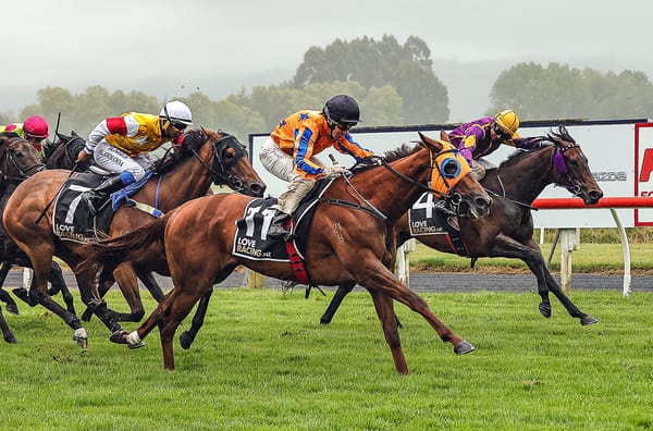 Kai takes out Wingatui feature