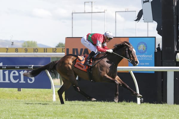 Our Alley Cat to have Bosson advantage