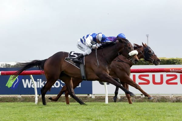 Headgear to sharpen Pearl Of Alsace's chances