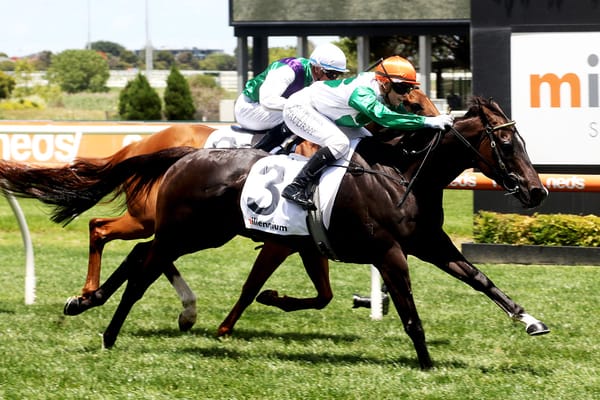 Caulfield triumph for well-travelled Piaggio