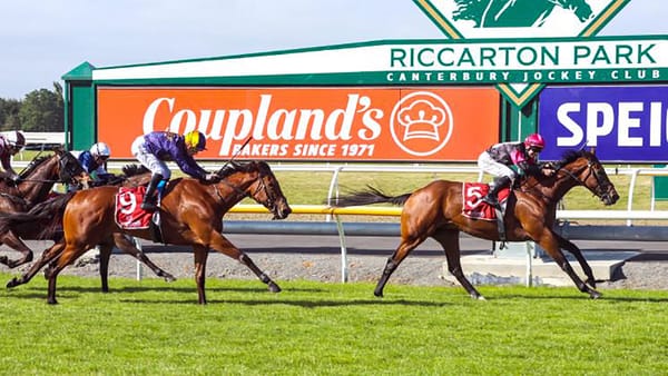 Puntura ready for Trentham challenge