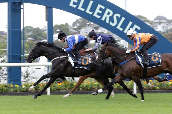 Sacred Satono on track for Group One test