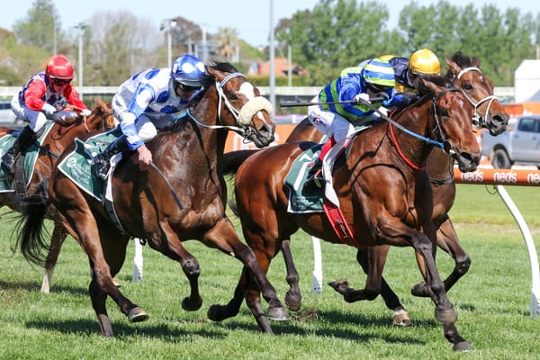 Shock 'Em Ova's campaign ended