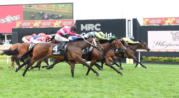 Trainer amazed by Showmanship effort