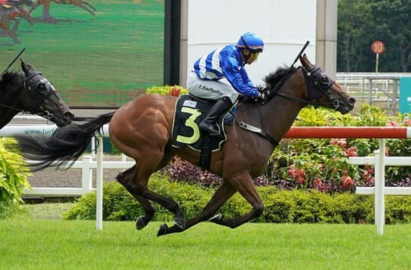 Star North gets deserved maiden win