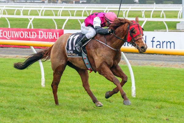 The Good Shepherd heads trainers Gore contenders