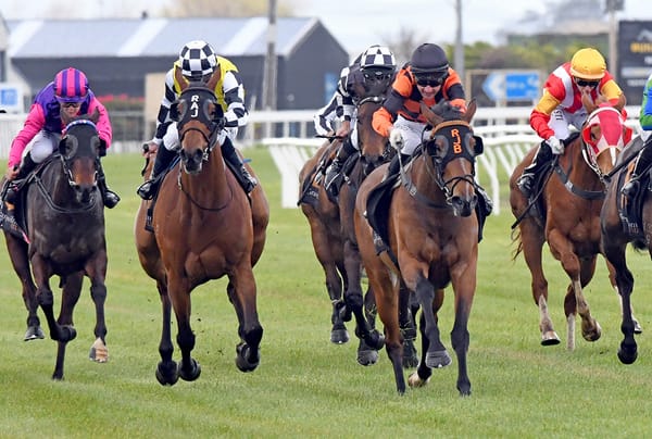 Town Cryer on song for Taupo Cup